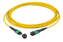 MPO (female) / MPO (female) OM4 12 fibers  crossover Method B